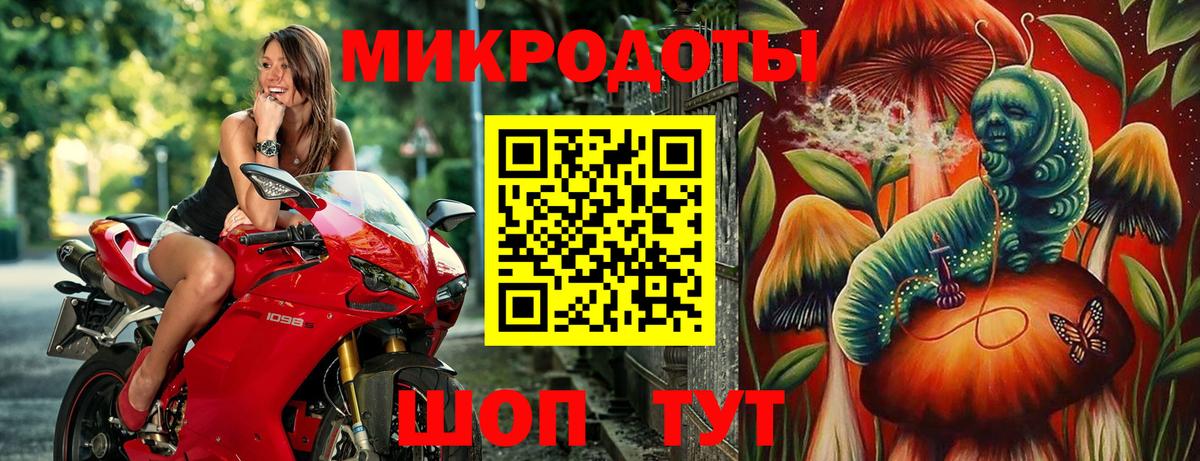 Псилоцибиновые грибы Psilocybine cubensis  Вход с VPN  Кашира 