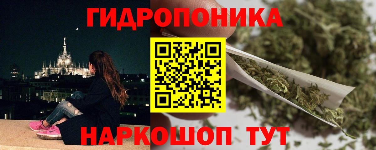 Канабис ГИДРОПОН Кашира